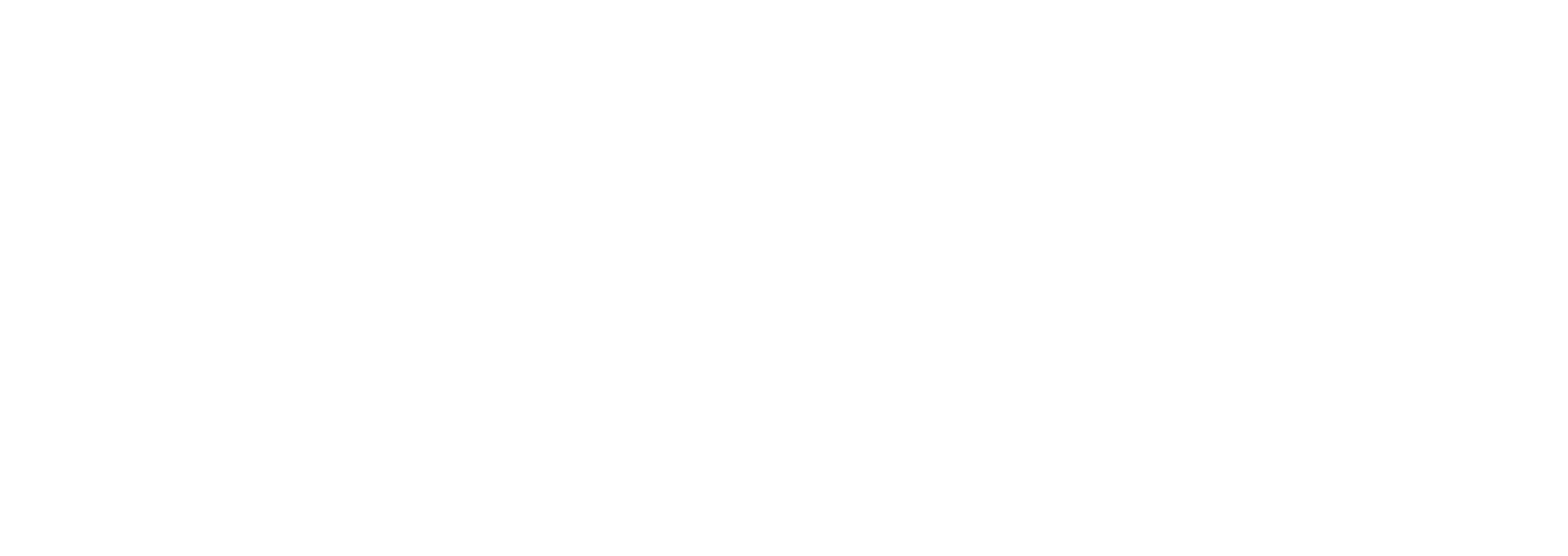 The Station The Station Logo
